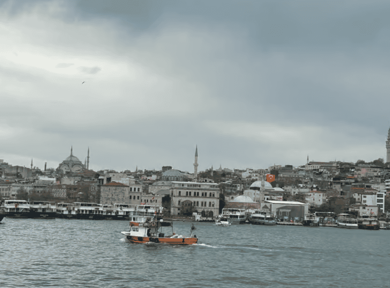 Istanbul: Bosphorus & Golden Horn Cruise Daytime or Sunset | ®ExcursionMania