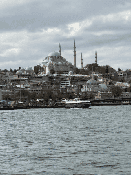 Istanbul: Bosphorus & Golden Horn Cruise Daytime or Sunset | ®ExcursionMania