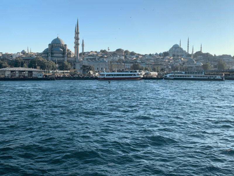 Istanbul: Discover Istanbul: Bosphorus Cruise with Daytime or Sunset Options | ®ExcursionMania