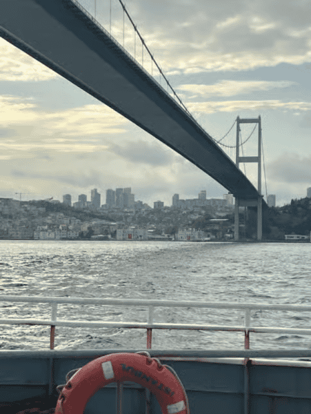 Discover Istanbul: Bosphorus Cruise with Daytime or Sunset Options | ®ExcursionMania