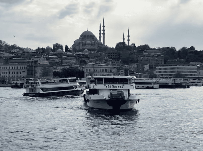 Discover Istanbul: Bosphorus Cruise with Daytime or Sunset Options | ®ExcursionMania