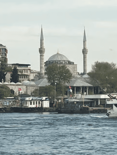 Discover Istanbul: Bosphorus Cruise with Daytime or Sunset Options | ®ExcursionMania