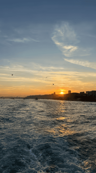 Discover Istanbul: Bosphorus Cruise with Daytime or Sunset Options | ®ExcursionMania