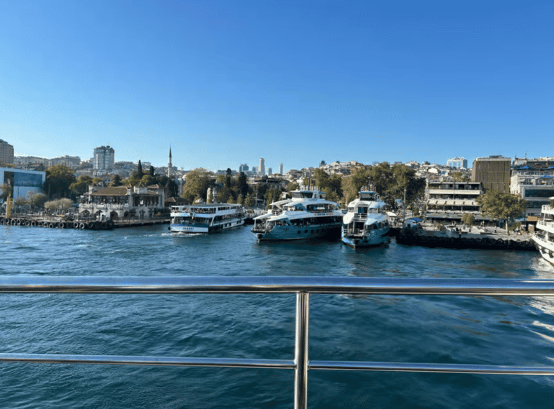 Discover Istanbul: Bosphorus Cruise with Daytime or Sunset Options | ®ExcursionMania