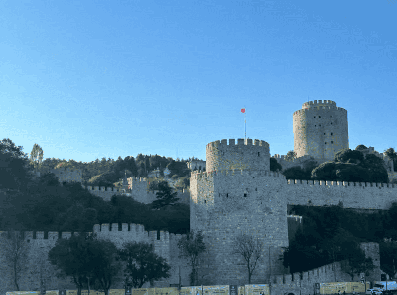 Discover Istanbul: Bosphorus Cruise with Daytime or Sunset Options | ®ExcursionMania