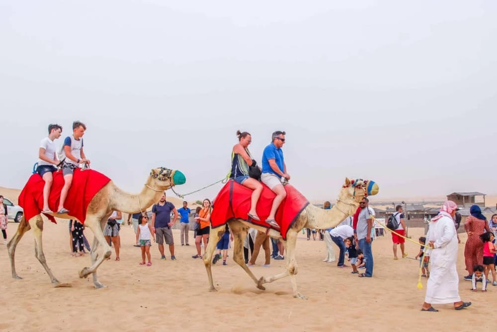Dubai: Quad Bike Safari, Camels & Al Khayma Camp BBQ Dinner | ®ExcursionMania