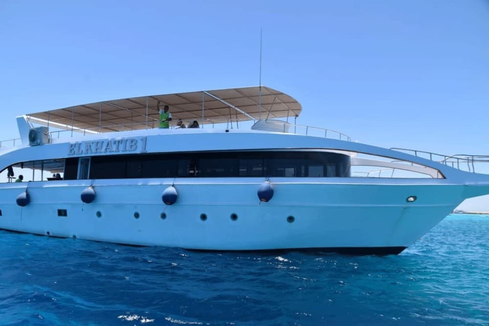 Hurghada: Dolphin & Coral Reef Snorkeling Tour with Lunch | ®ExcursionMania