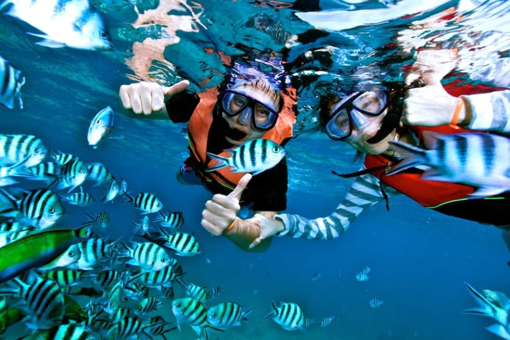 Hurghada: Dolphin & Coral Reef Snorkeling Tour with Lunch | ®ExcursionMania