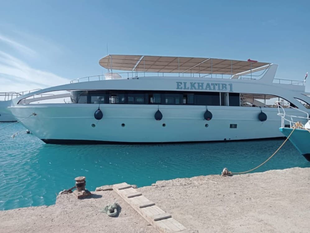 Hurghada: Dolphin & Coral Reef Snorkeling Tour with Lunch | ®ExcursionMania
