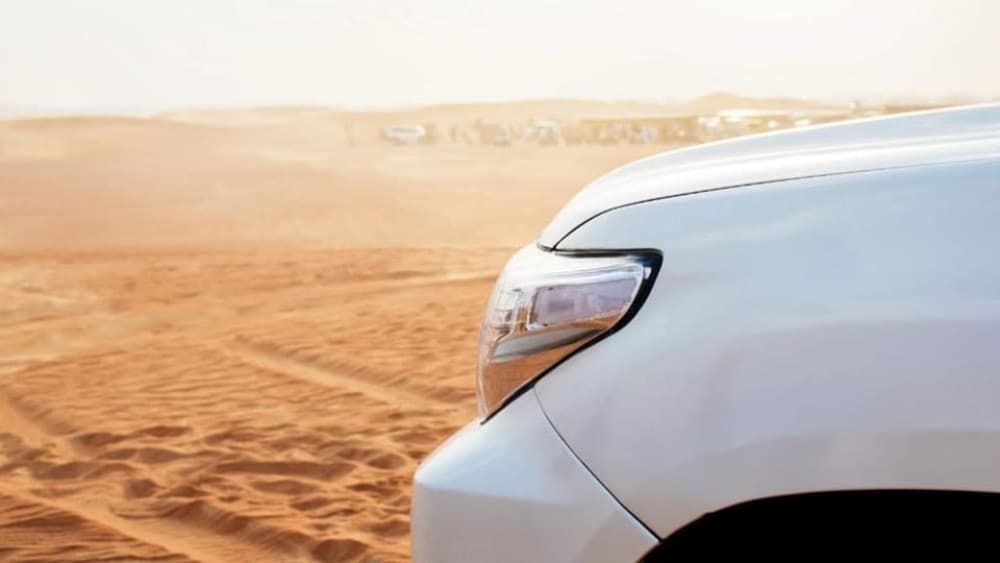 Wahiba Sand and Wadi Bani Khalid Guided Group Tour | ®ExcursionMania