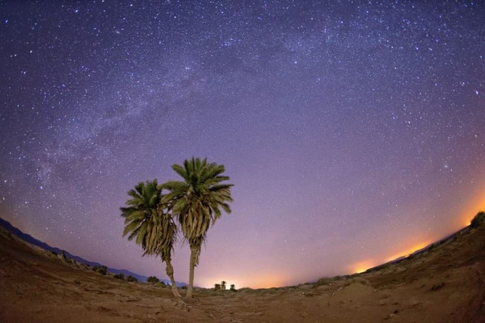 Sharm ElSheikh: Camel Riding Stargazing BBQ Dinner & Show | ®ExcursionMania