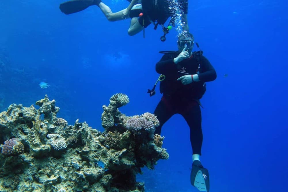 From Sharm: Ras Muhammed & White Island By Boat & intro Dive | ®ExcursionMania