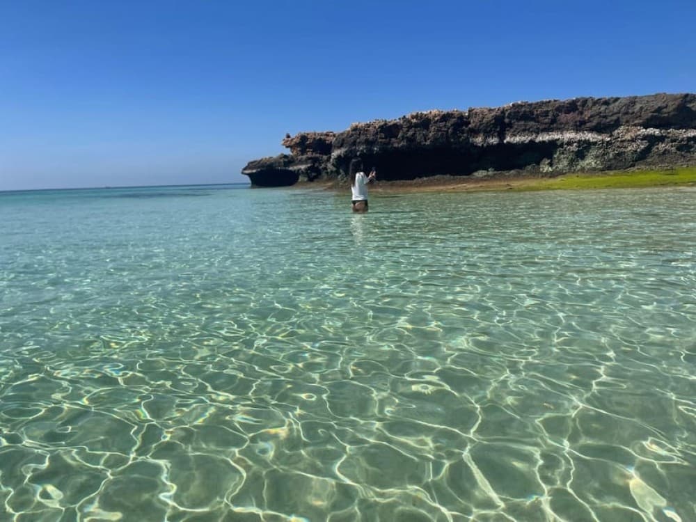 Daymaniat Islands Snorkeling Trip | ®ExcursionMania
