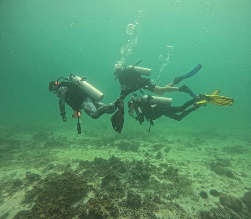 Muscat: Daymaniat Islands Try Scuba Diving | ®ExcursionMania