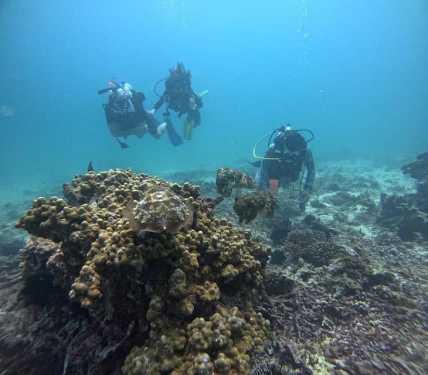 Muscat: Daymaniat Islands Try Scuba Diving | ®ExcursionMania