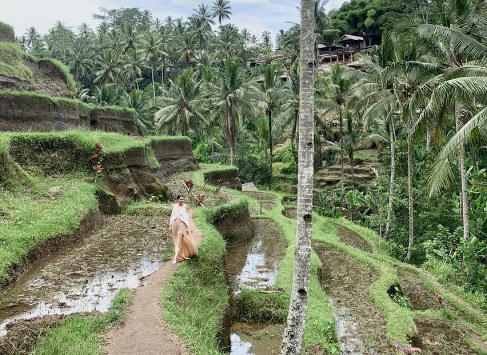 Ubud: All-Inclusive Tour with Optional Lunch | ®ExcursionMania