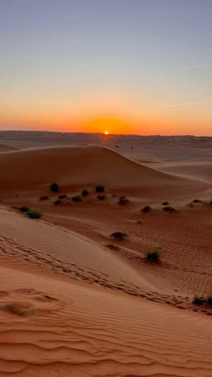 Safari World Zoo and Wahiba Sands Sunset with Dinner | ®ExcursionMania