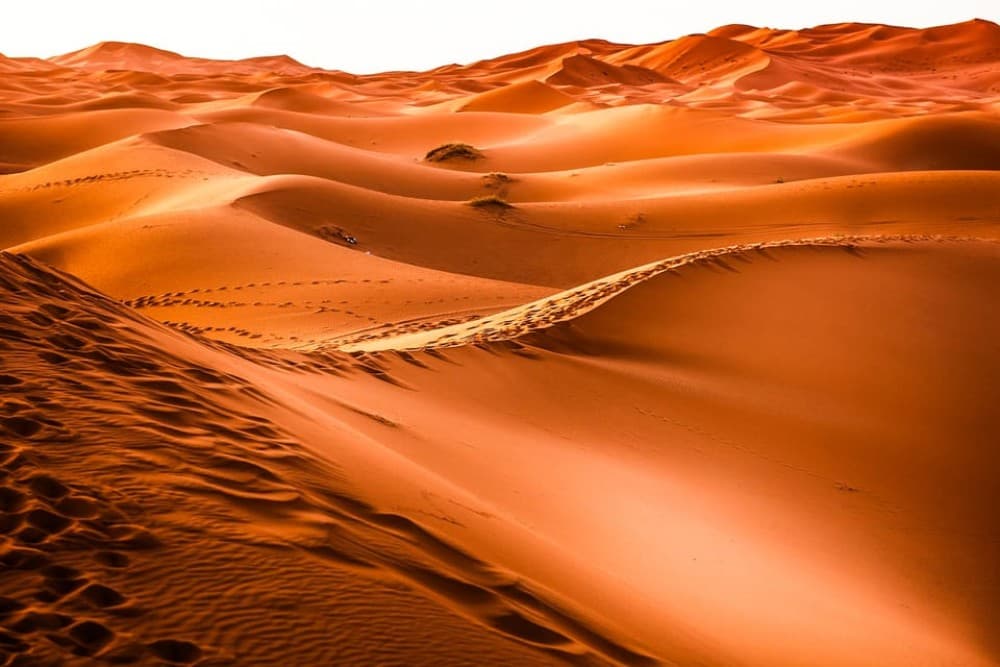 Dubai: Red Dune Safari Camel Ride Sandboarding and Dinner | ®ExcursionMania