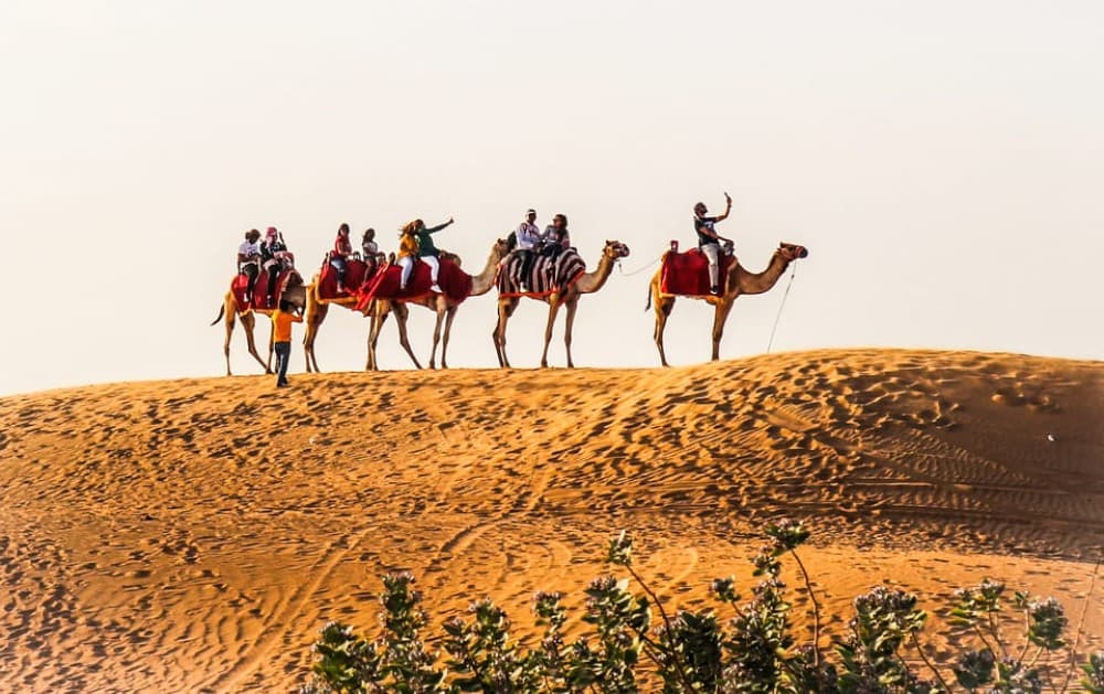 Dubai: Red Dune Safari Camel Ride Sandboarding and Dinner | ®ExcursionMania