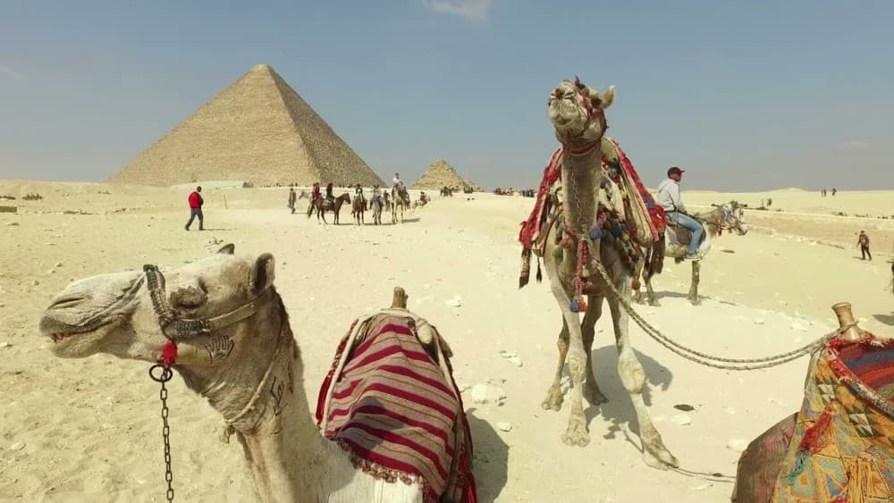All-inclusive private Trip Pyramids Sphinx Camel VIP Lunch | ®ExcursionMania