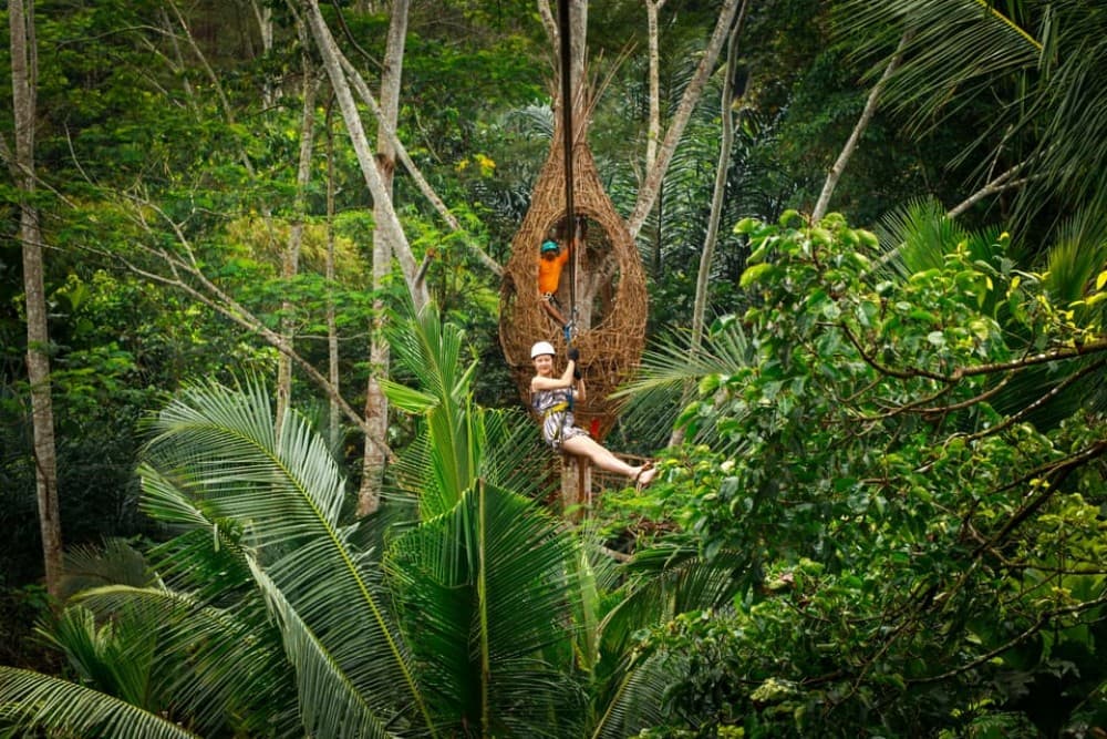 Ubud: Half-Day Zipline and Jungle Swing Adventure | ®ExcursionMania