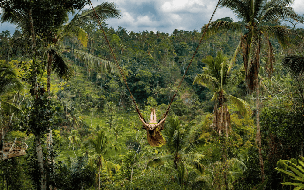 Ubud: Half-Day Zipline and Jungle Swing Adventure | ®ExcursionMania