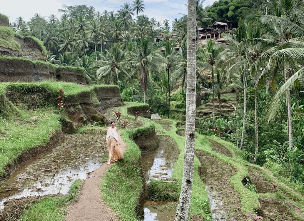 Ubud: Half-Day Semi-Customized Private-Tour with Live Guide | ®ExcursionMania