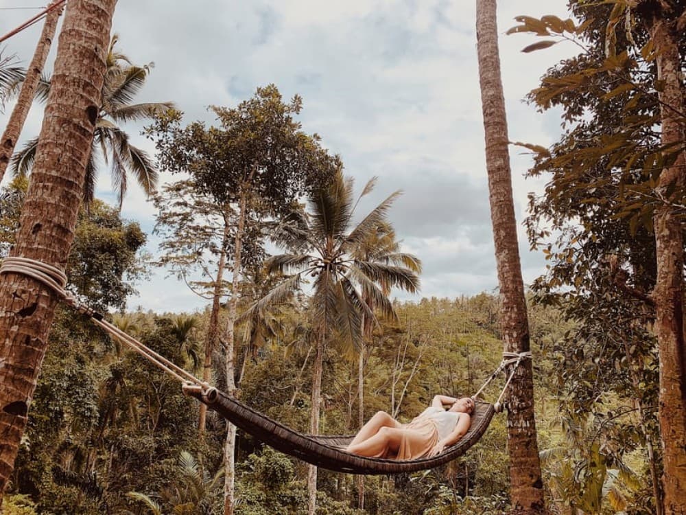 Ubud: Half-Day Semi-Customized Private-Tour with Live Guide | ®ExcursionMania