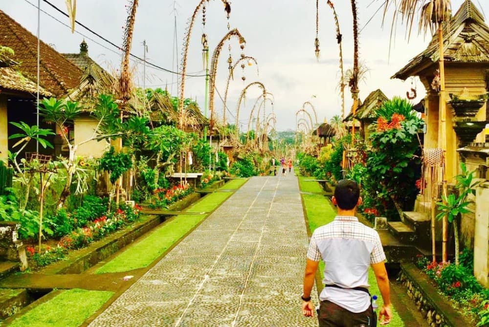 Bali: Swing with Falls Rice Terrace & Monkey Forest Option | ®ExcursionMania