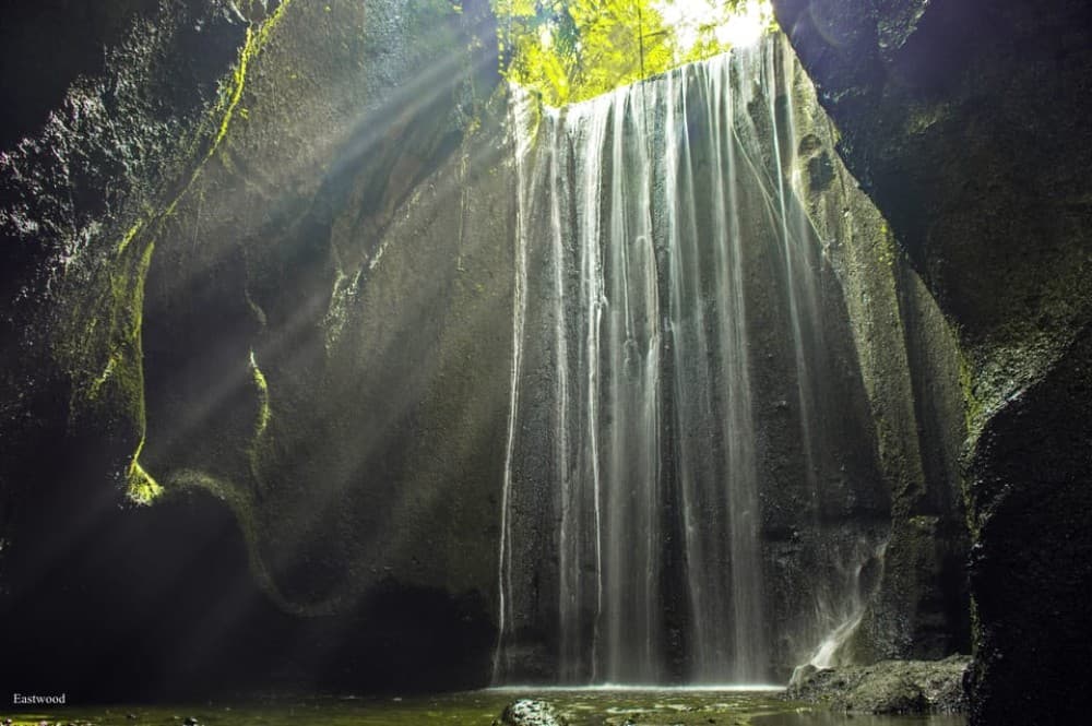 Bali: Swing with Falls Rice Terrace & Monkey Forest Option | ®ExcursionMania