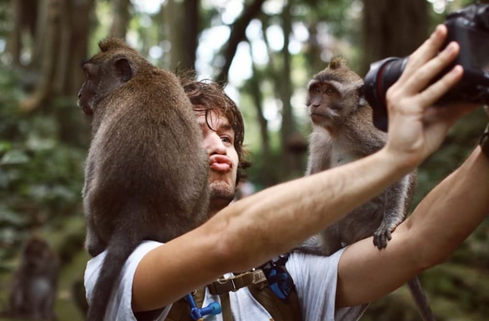 Bali: Countryside Bird Watching Tour with Hotel Transfer | ®ExcursionMania