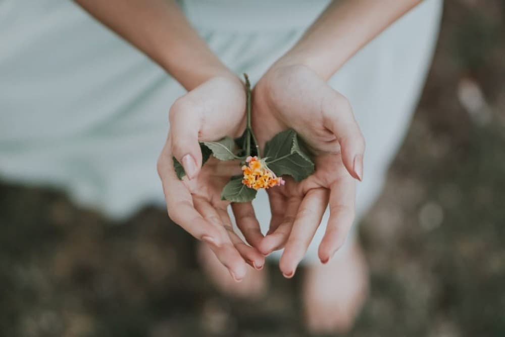 Bali: Healing and Aura Cleansing Tour with Yoga & Meditation | ®ExcursionMania
