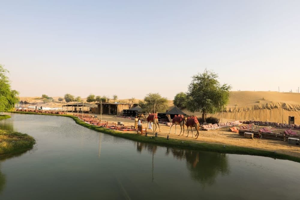 Dubai: Al Marmoom and Al Qudra Lakes Guided Tour with Dinner | ®ExcursionMania
