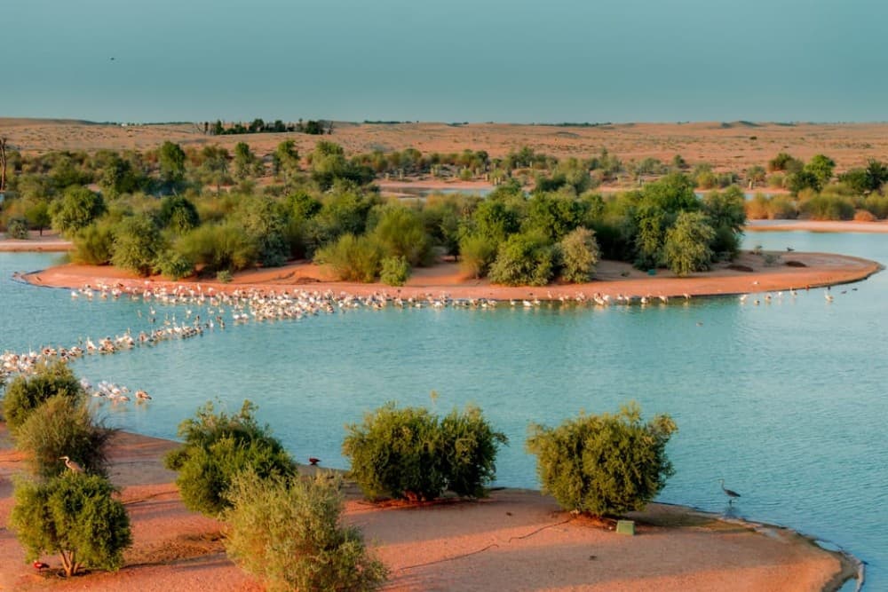 Al Qudra Lakes
