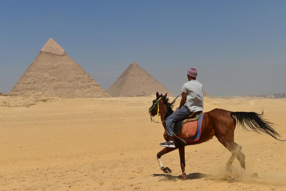 Cairo: Pyramids Arabian Horse Or Camel Ride With Bedouin Tea | ®ExcursionMania