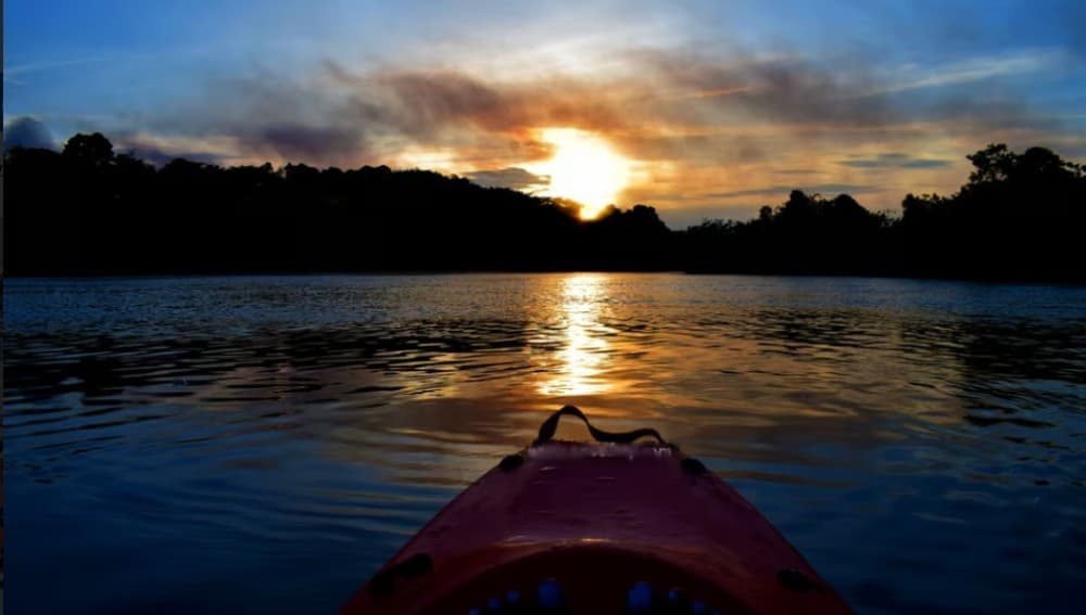 Cairo: Egyptian Museum  Kayaking on the River Nile Tour | ®ExcursionMania