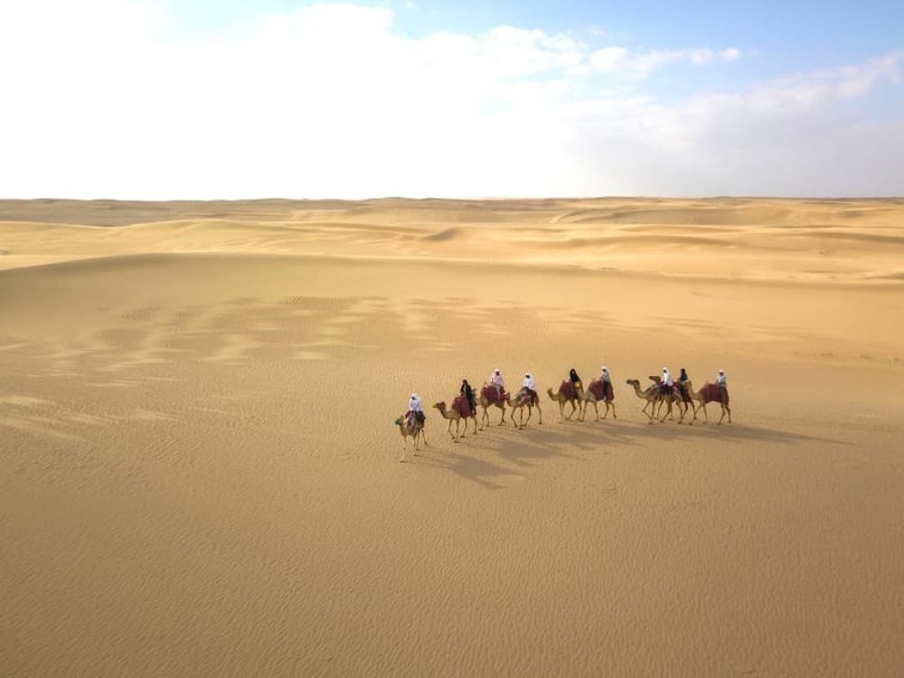 Dubai: Al Marmoom Oasis Safari, Animal Spotting & Breakfast | ®ExcursionMania