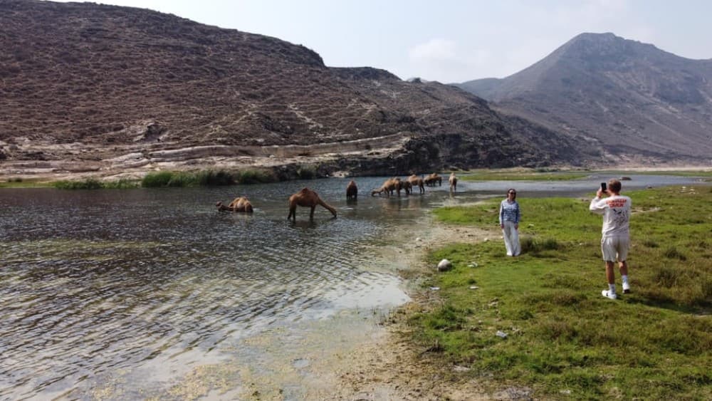 West Salalah Highlights: Coastal Wonders  Scenic Views | ®ExcursionMania