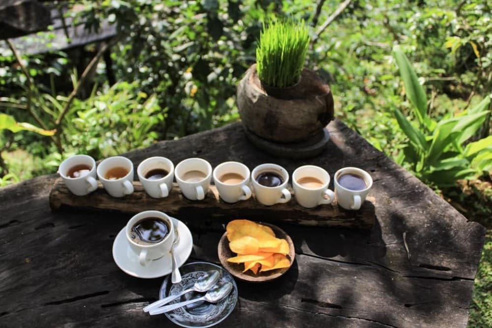 Bali: AllInclusive Authentic Culinary Food Experience Tour | ®ExcursionMania