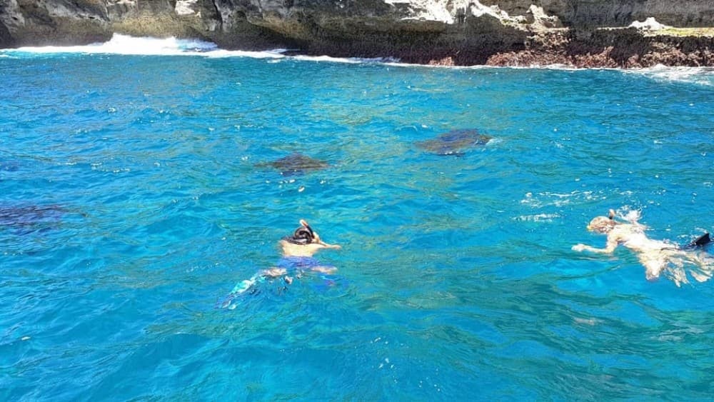 All Inclusive Combo Adventure Ticket with Transfer | ®ExcursionMania