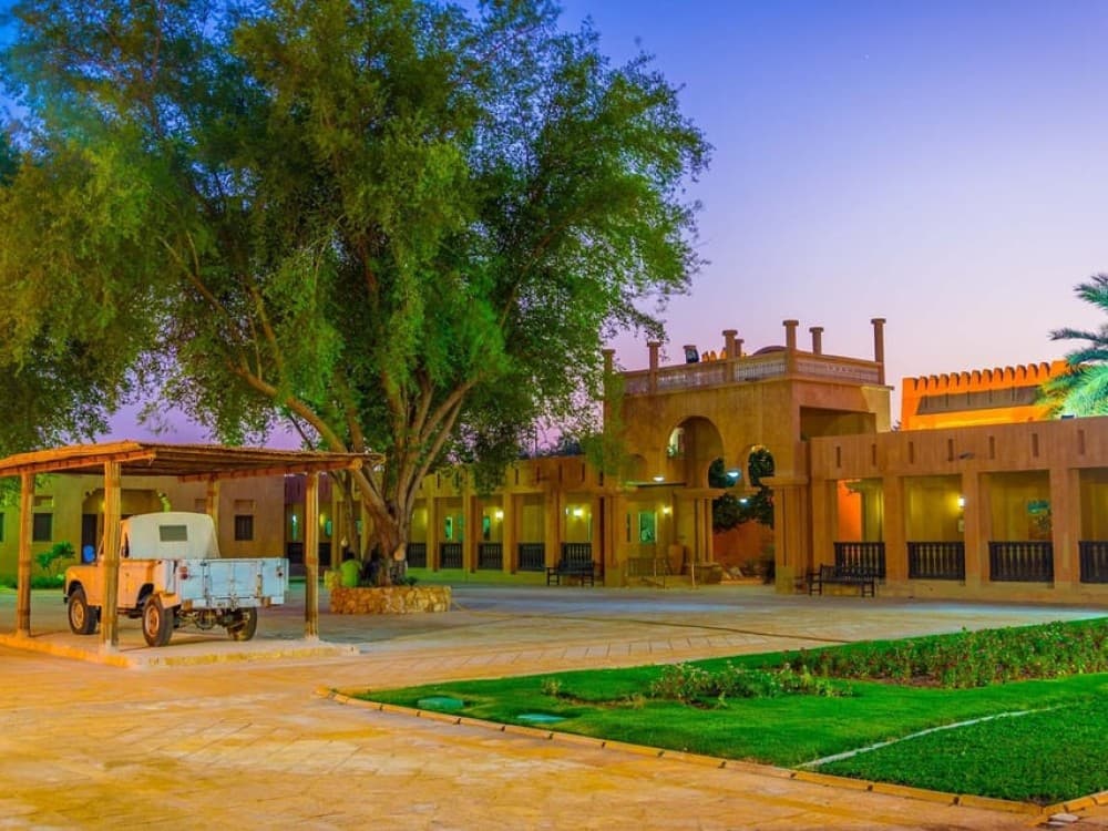 Dubai: Al Ain Oasis, Camel Market, Old Museum & Jebel Hafeet | ®ExcursionMania