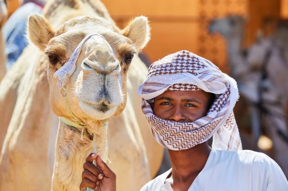 Dubai: Al Ain Oasis, Camel Market, Old Museum & Jebel Hafeet | ®ExcursionMania