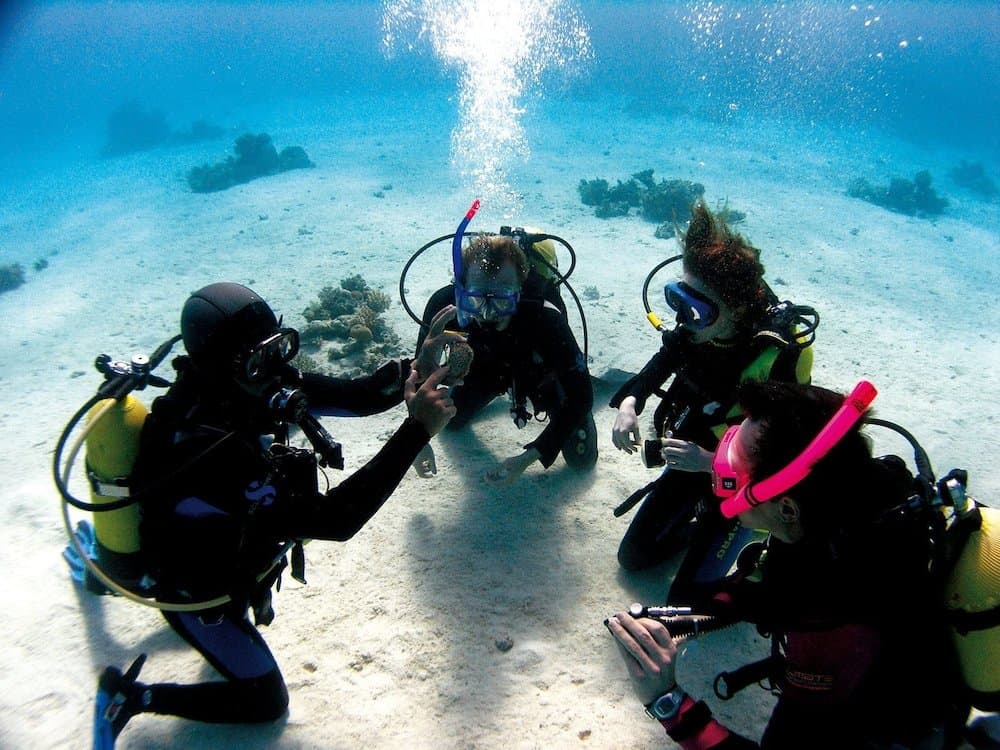 Bodrum Diving Tour With Hotel Transfer | ®ExcursionMania