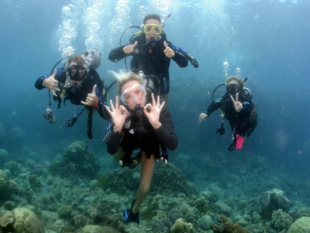 Bodrum Diving Tour With Hotel Transfer | ®ExcursionMania