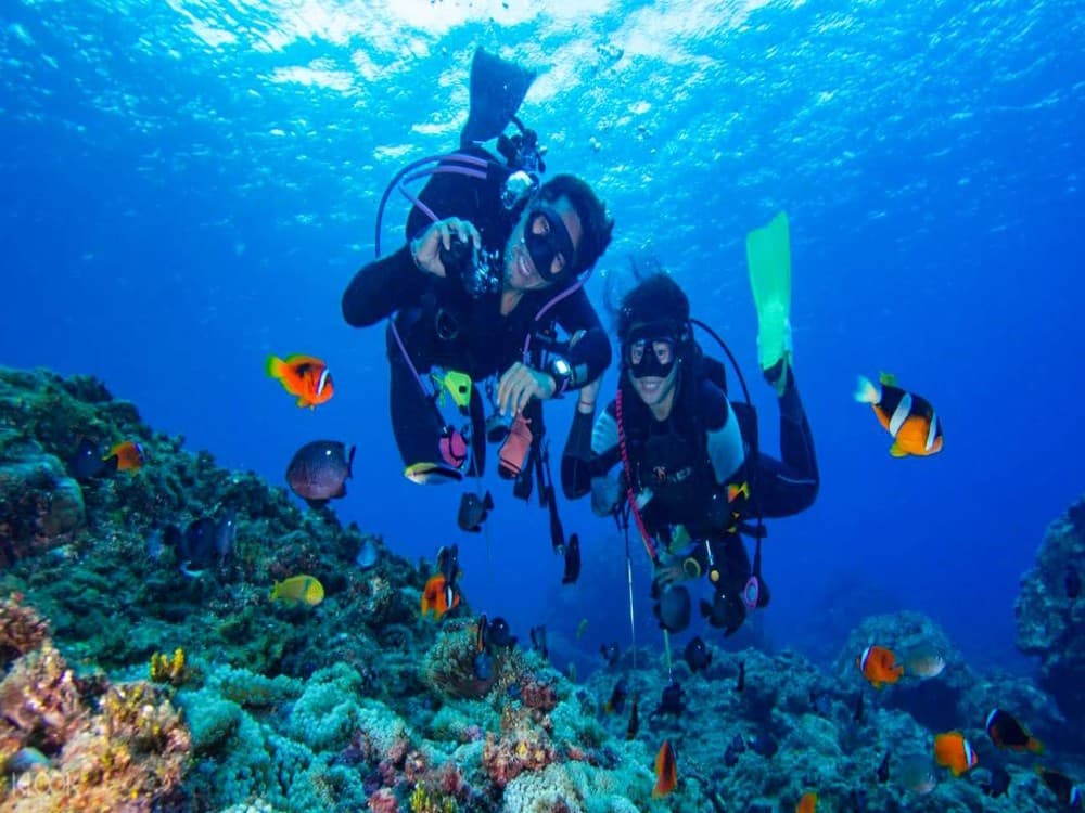 Bodrum Diving Tour With Hotel Transfer | ®ExcursionMania