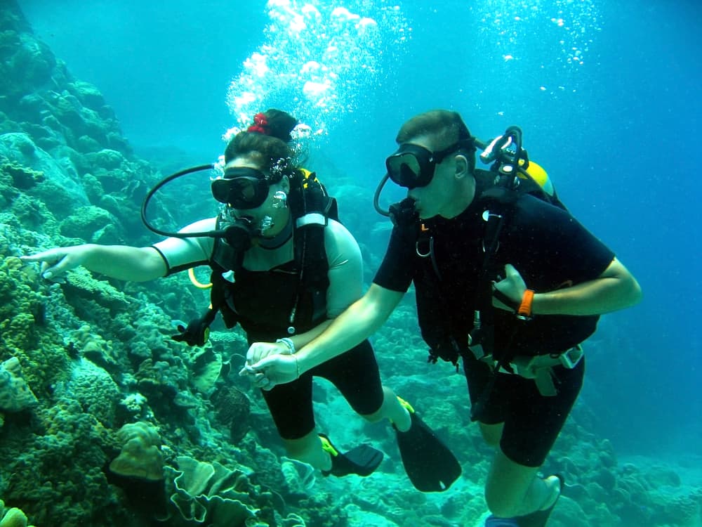 Bodrum Diving Tour With Hotel Transfer | ®ExcursionMania