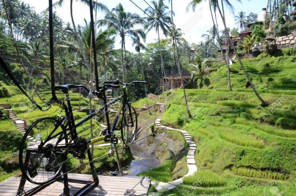 Ubud: Sky Bike Adventure, Swing & Rice Terrace with Transfer | ®ExcursionMania
