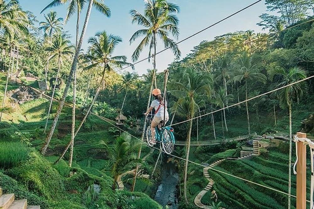 Ubud: Sky Bike Adventure, Swing & Rice Terrace with Transfer | ®ExcursionMania
