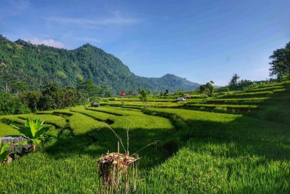 Bali: Ujung Water Palace, Candidasa and Sidemen Village Tour | ®ExcursionMania