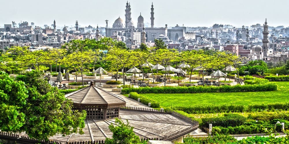 Saudi Arabia: Must-See Attractions in Abha City Tour | ®ExcursionMania